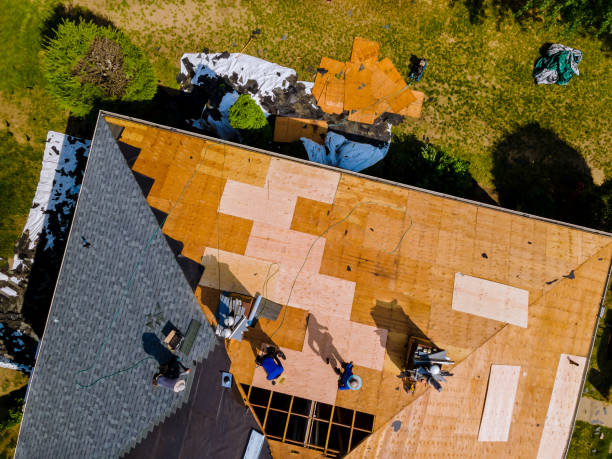 Best Commercial Roofing Services  in Lake Dallas, TX